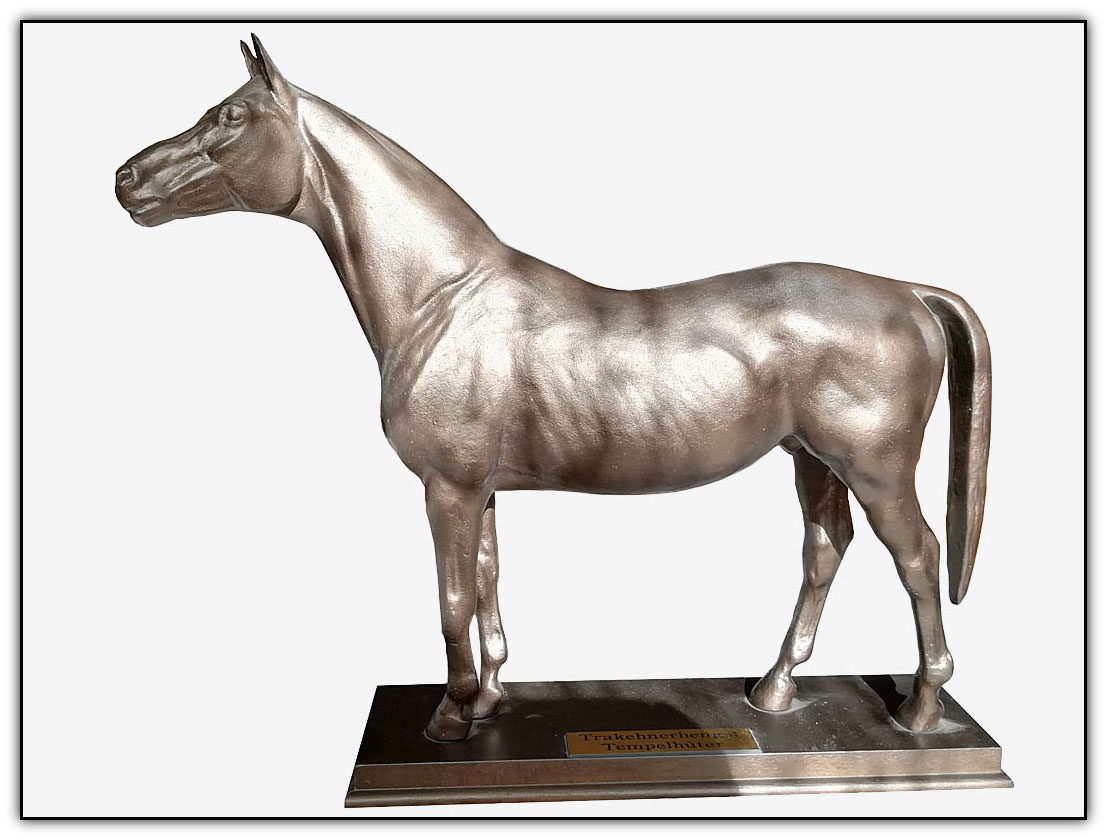 pferd trakehner
